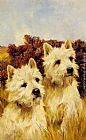 Arthur Wardle Canvas Paintings - Jacque and Jean, Champion Westhighland White Terriers